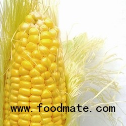 corn