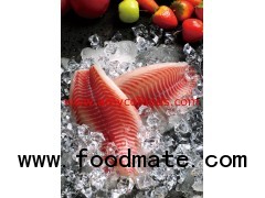 Tilapia Fillet Grade A from reliable factory in China