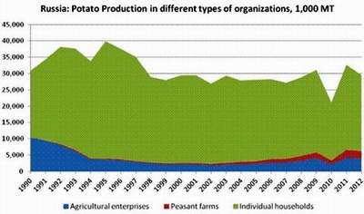 Potato production