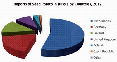 Potato production