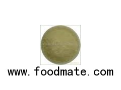 Wholesale Cactus Powder Cactus Juice Powder Food Grade