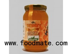  Natural, GMO Free, Raw-Unprocessed Sunflower Honey