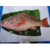 Red snapper