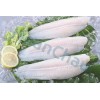 Pangasius fillet white well-trimmed