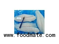 Pangasius Hypophthamus