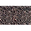 Vietnam Black Pepper