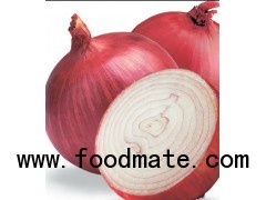 Fresh onion