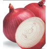 Fresh onion