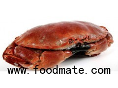 ROCK CRAB