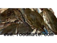 BLUE CRAB