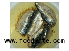 sardine in oil