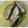 sardine in oil