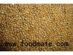 guargum seeds- Cluster Beans