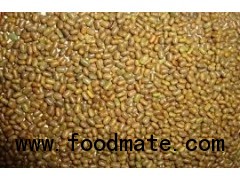 guargum seeds- Cluster Beans