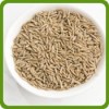 Cumin Seeds (Jeera)