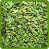 Fenel Seeds (Badishep)