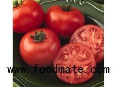 Tomato Paste in Drum or Canned