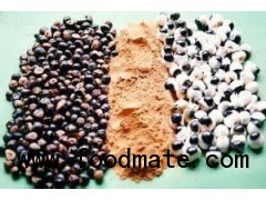Guarana Extract Powder