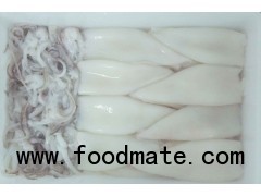 FROZEN CLEANED LOLIGO SQUID