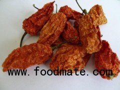 bhut jolokia chilli