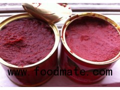 tomato paste