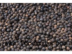 Black Pepper (300gl, 350gl, 400gl, 450gl, 500gl, 550gl, 580gl)