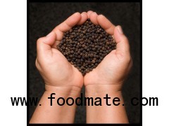 Black Pepper (500gl, 550gl, 580gl)