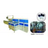 GT-100 High Speed Mask Cartoning Machine