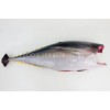Fresh Chilled Yellowfin Tuna HGT
