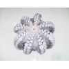 Frozen Octopus Flower