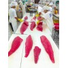 Frozen Premium CO Tuna Loins