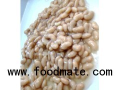 Canned White Kidney Beans