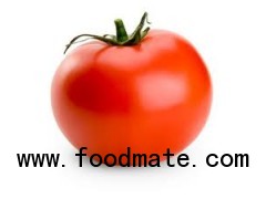 Fresh Tomatoes