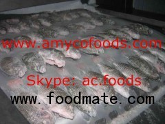 Tilapia fish from reliable producer in China