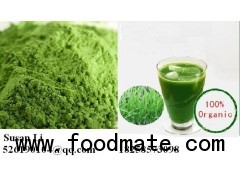 Organic Barley Grass Extract Powder Nutritional Supplement Gluten Free