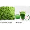 Organic Barley Grass Extract Powder Nutritional Supplement Gluten Free