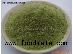 Beet Leaf Powder No additive All Natural Factory Sale