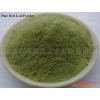 Beet Leaf Powder No additive All Natural Factory Sale