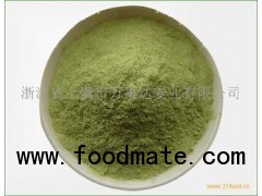 Organic Premium Oat Grass Powder Oat Grass Extract Powder