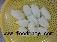 CUTTLEFISH PINEAPPLE