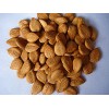 sweet apricot kernels