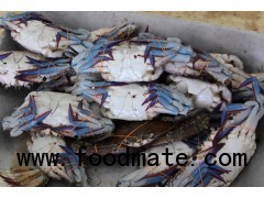 FROZEN WHOLE CRABS (BLUE SWIMMING CRABS)