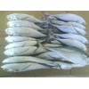 Horse Mackerel Whole round