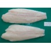 Pangasius fillet white meat