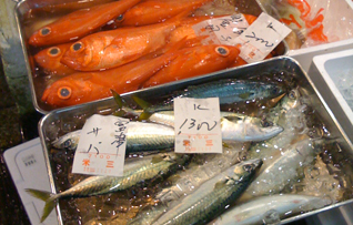 Fukushima fish