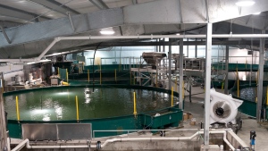 aquaculture