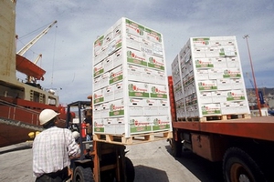 Chilean fruit export