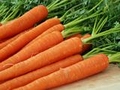 Can eating carrots make you more attractive?
