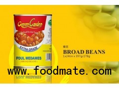 canned broad beans