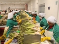 Peru's non-traditional agro exports rise 8.1% in 2013